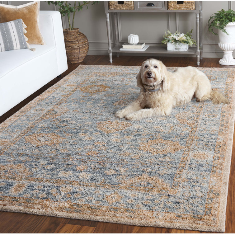 Light Blue Hand-Knotted Wool and Cotton 6' x 9' Rug