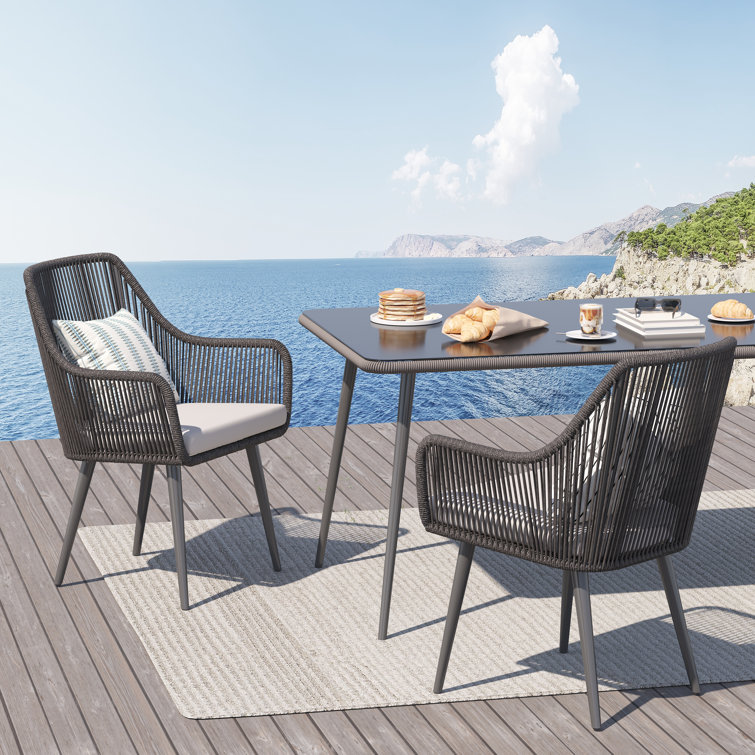 Black Wicker and Metal Outdoor Dining Chairs with Cushions, Set of 2