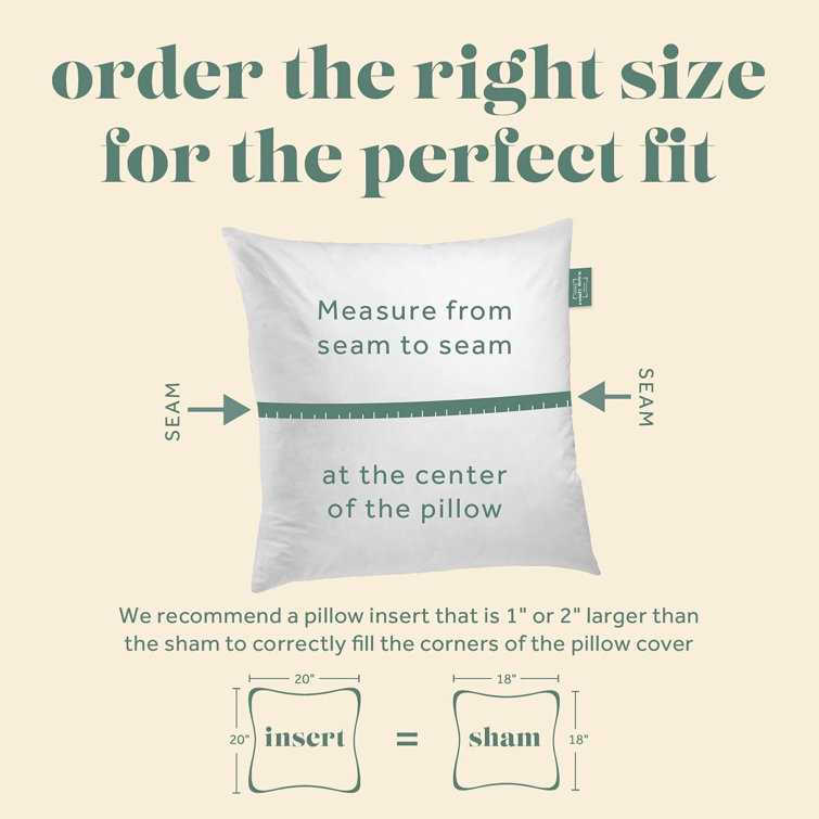 Set of Two 24" White Cotton Down Feather Throw Pillows