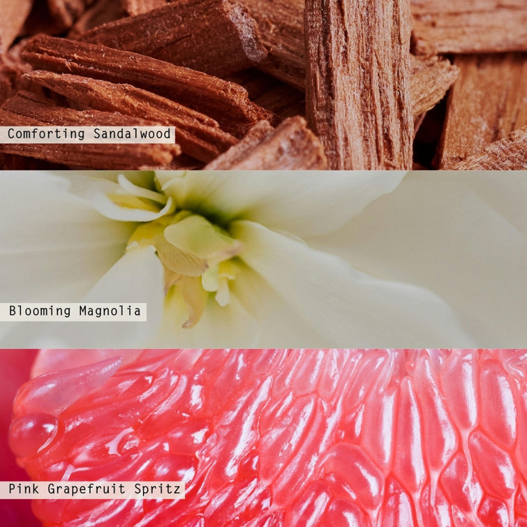 Paloma Petal Pink Matte Ceramic Scented Soy Candle