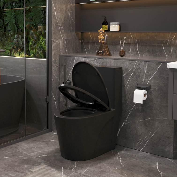 Matte Black Ceramic Dual Flush Elongated One-Piece Toilet