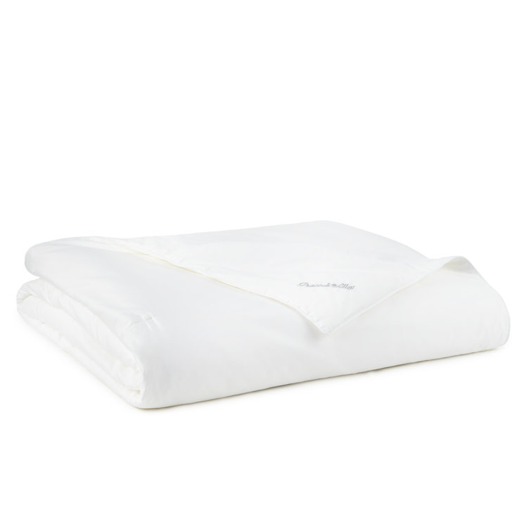 White Queen Cotton and Silk All Season Duvet Insert