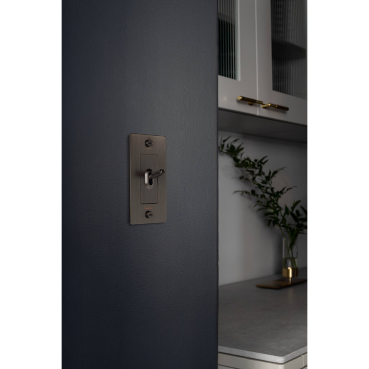 Stainless Steel 1-Gang Toggle Switch with Logo