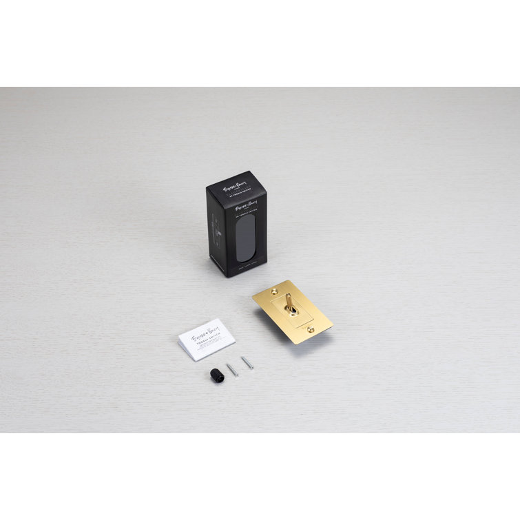 Stainless Steel 1-Gang Toggle Switch with Logo