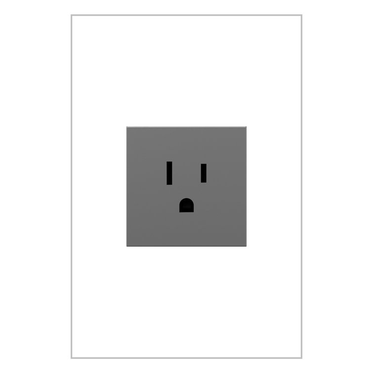 Magnesium Tamper Resistant Single Outlet with Screwless Wall Plate
