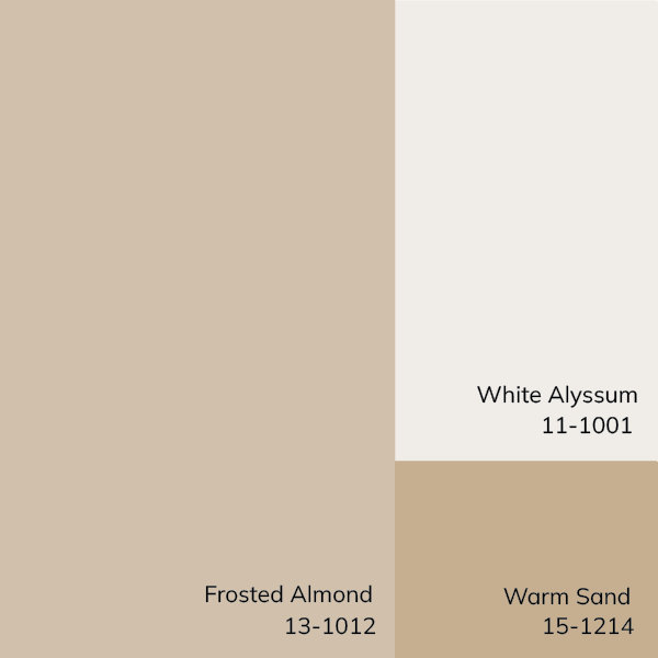 Cream 20" x 20" Modern Outdoor Safe Throw Pillow