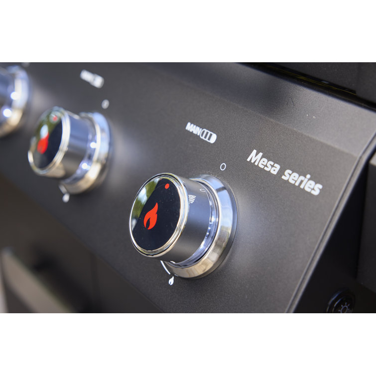 Mesa Black Stainless Steel 4-Burner Propane Gas Grill with Side Burner