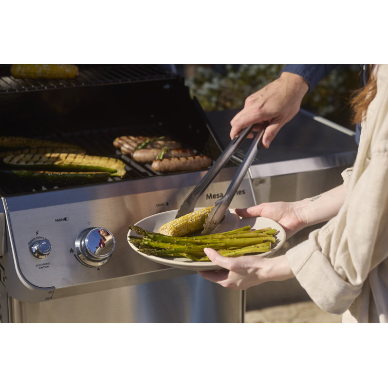 Mesa 2-Burner Stainless Steel Propane Gas Grill with LED Controls