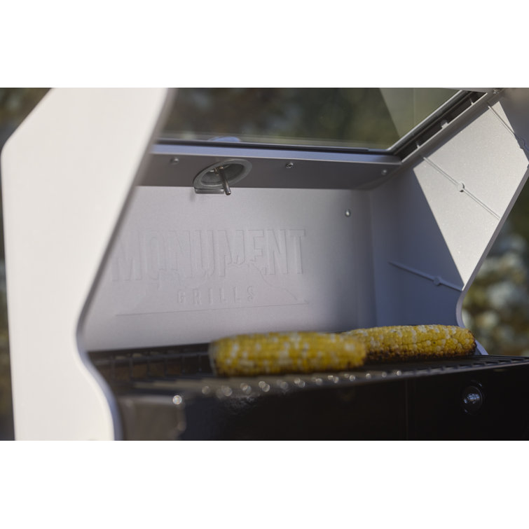 Mesa 2-Burner Stainless Steel Propane Gas Grill with LED Controls