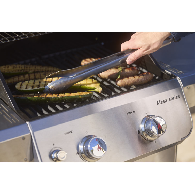 Mesa 2-Burner Stainless Steel Propane Gas Grill with LED Controls