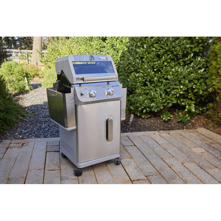 Mesa 2-Burner Stainless Steel Propane Gas Grill with LED Controls