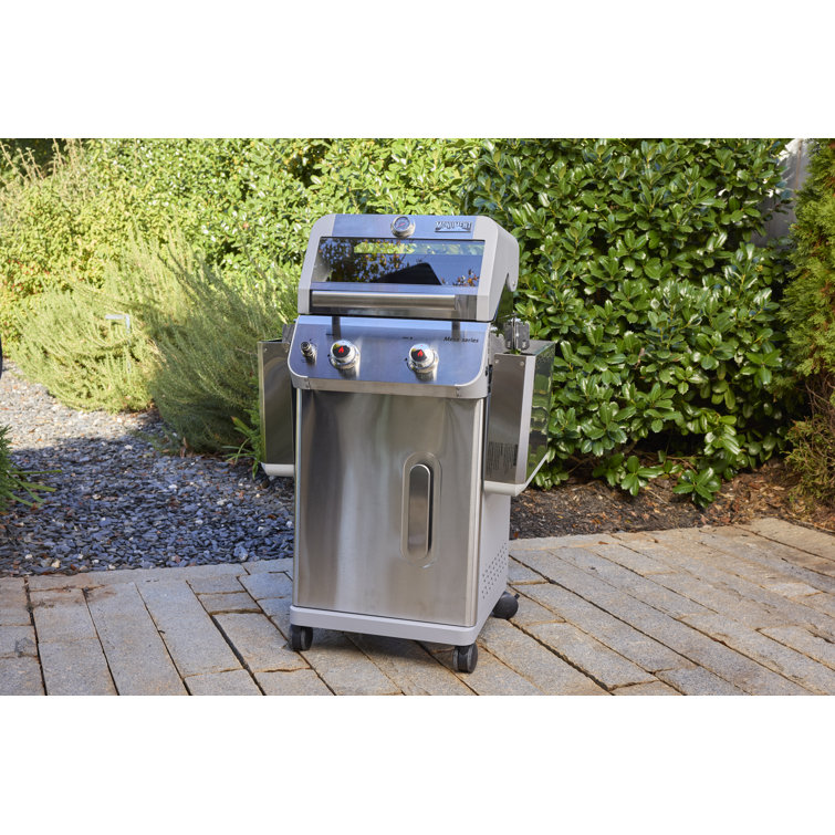 Mesa 2-Burner Stainless Steel Propane Gas Grill with LED Controls