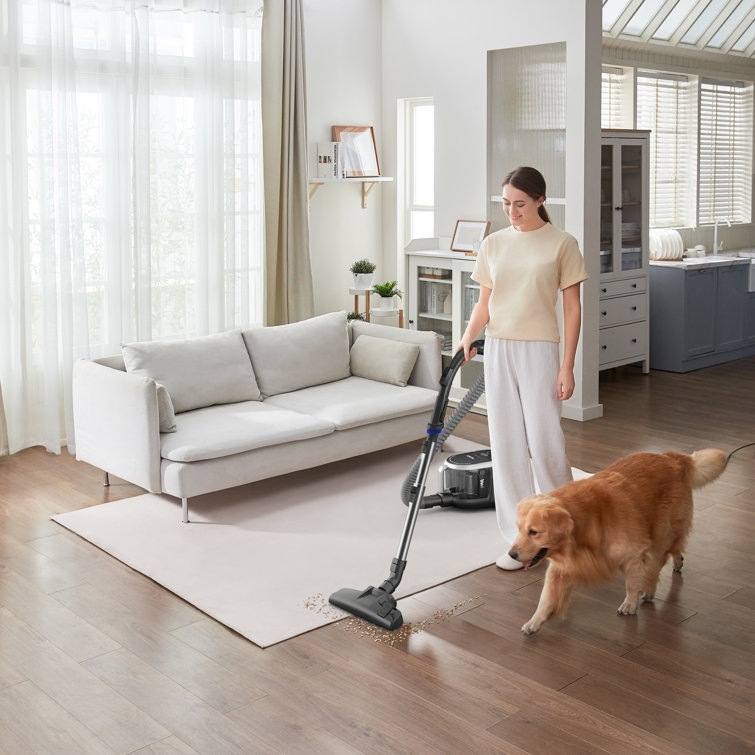 Eureka Silver Bagless Canister Vacuum with HEPA Filter for Pets