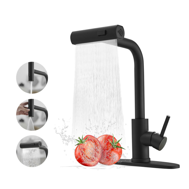 Matte Black Stainless Steel Kitchen Faucet with Pull-out Spray