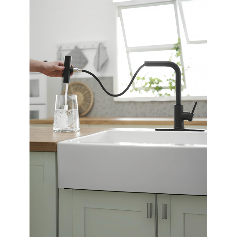 Matte Black Stainless Steel Kitchen Faucet with Pull-out Spray