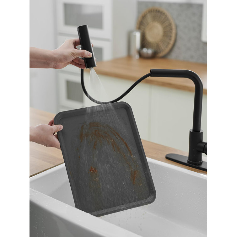 Matte Black Stainless Steel Kitchen Faucet with Pull-out Spray