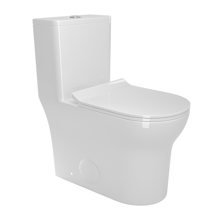 Glossy White Ceramic Elongated One-Piece Toilet with Dual Flush
