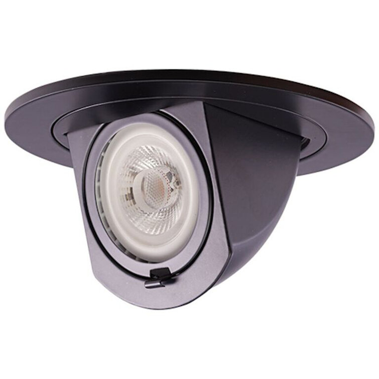 4'' Black Adjustable Indoor/Outdoor LED Recessed Trim