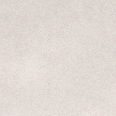 Dove Glossy White Ceramic Subway Wall Tile 3'' x 12''