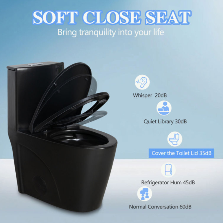 Matte Black High Efficiency Dual Flush One-Piece Elongated Toilet