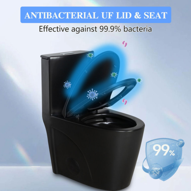 Matte Black High Efficiency Dual Flush One-Piece Elongated Toilet