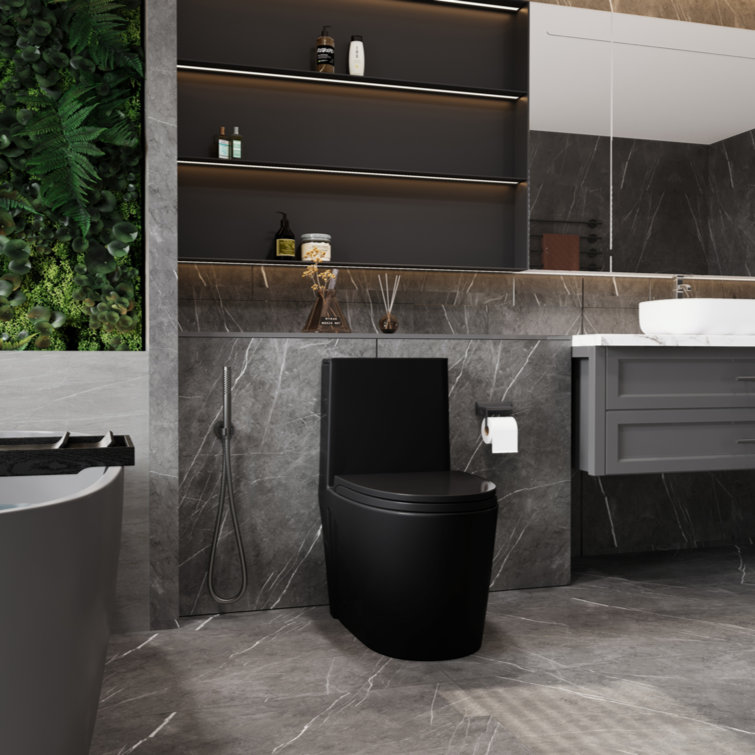 Matte Black High Efficiency Dual Flush One-Piece Elongated Toilet