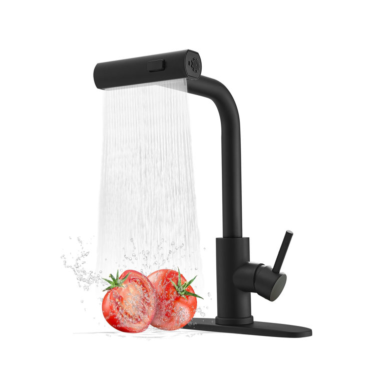 Matte Black Stainless Steel Kitchen Faucet with Pull-out Spray