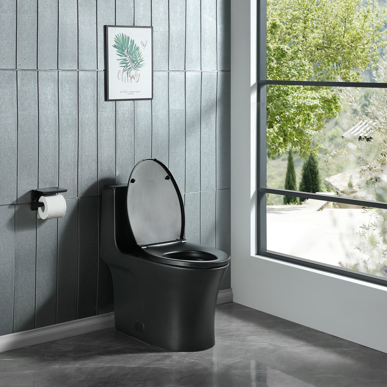 Matte Black Ceramic Dual-Flush Elongated One-Piece Toilet