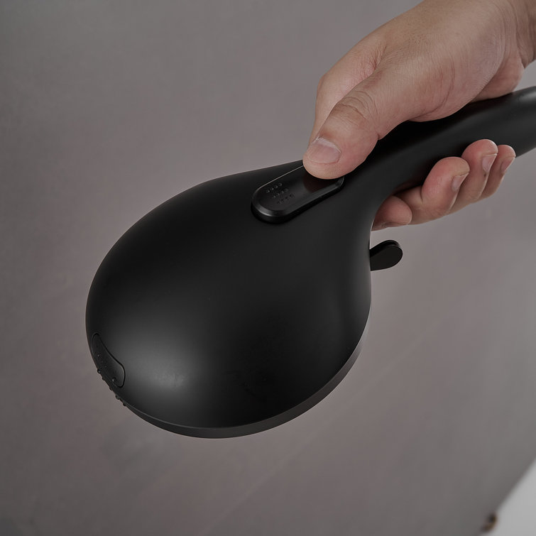 Matte Black Dual Shower Head with Handheld and Stainless Steel Hose