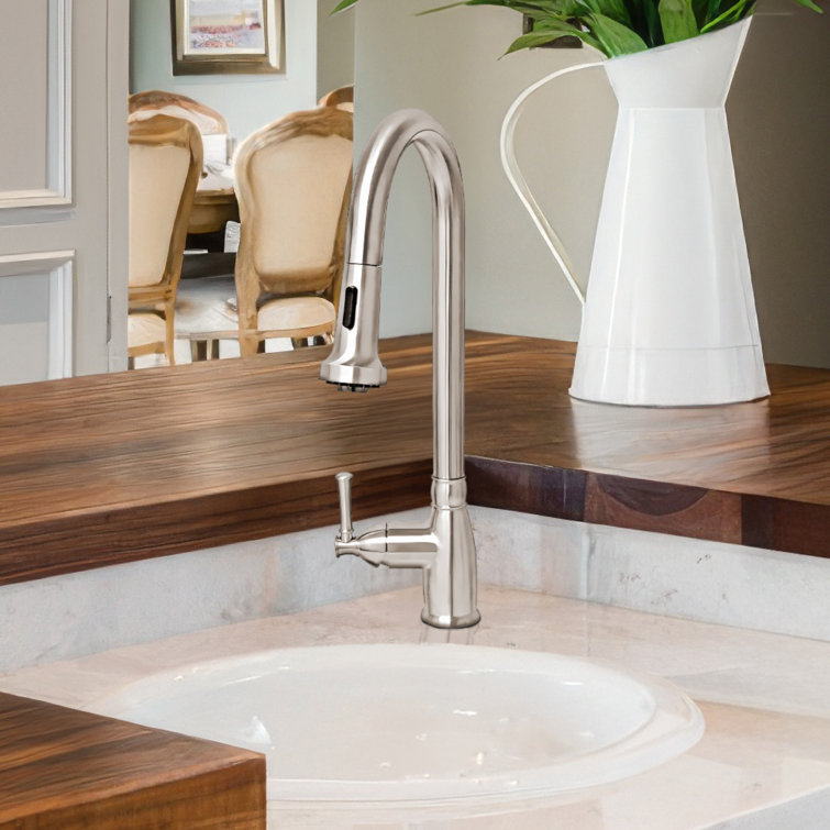 Stainless Steel Single-Hole Faucet with Pull-out Spray
