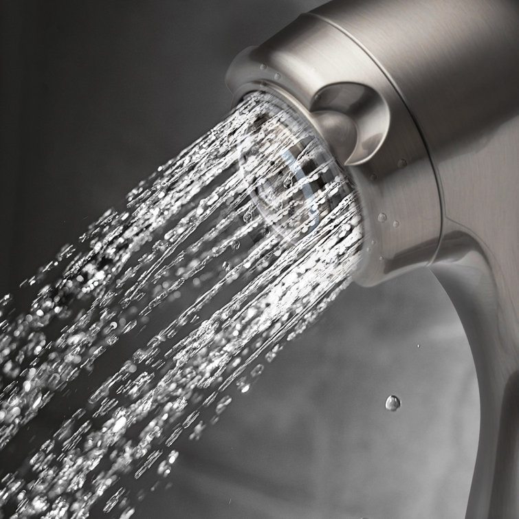 Earth Spa Brushed Nickel Handheld Shower Head with Stainless Steel Hose