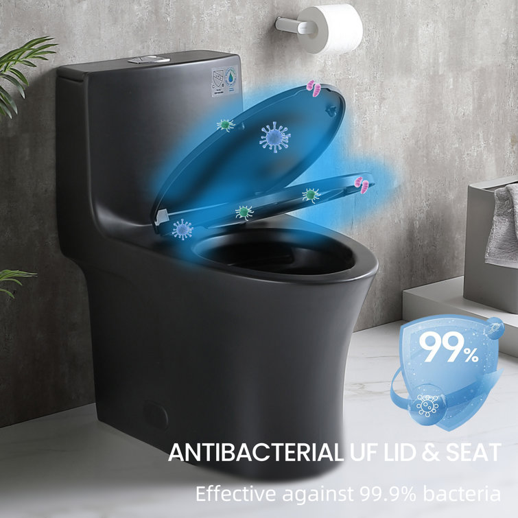 Matte Black Ceramic Dual-Flush Elongated One-Piece Toilet
