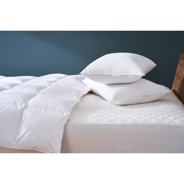 Queen Size White Organic Cotton Feather Down Pillow