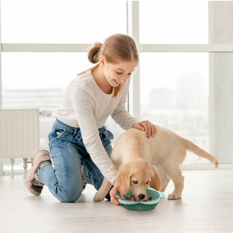 Green Flower-Shaped Silicone Pet Bowl with Non-Slip Suction Base