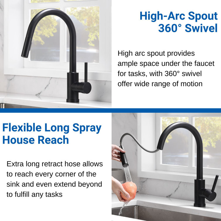 Matte Black Single-Hole Pull-Out Spray Kitchen Faucet