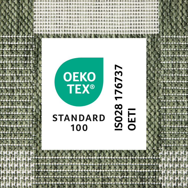 Green and Cream Chevron Pattern Outdoor Area Rug, 4 ft x 5 ft
