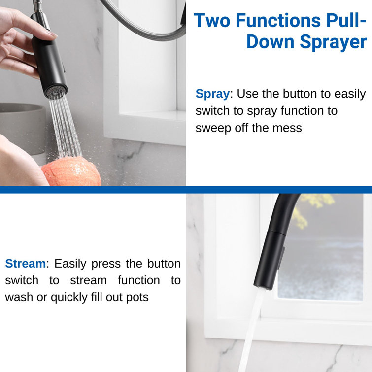 Matte Black Single-Hole Pull-Out Spray Kitchen Faucet