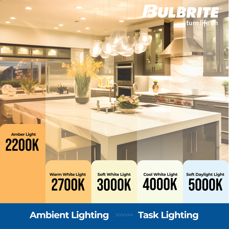 Amber 60W Antique Dimmable Incandescent Light Bulb Pack
