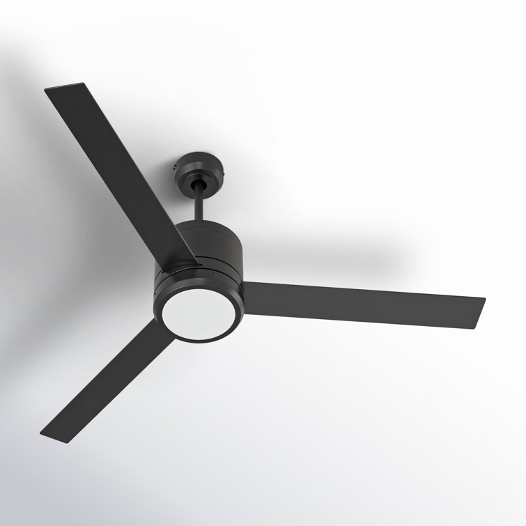52'' Black Maple 3-Blade Ceiling Fan with LED Light