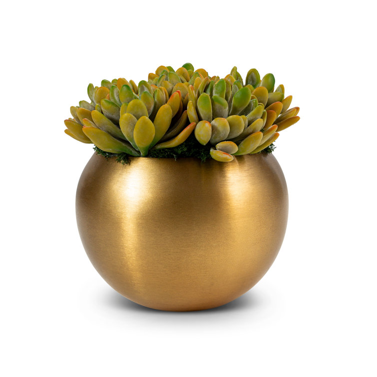 Beatrice Gold Metal Planter with Green Artificial Succulents