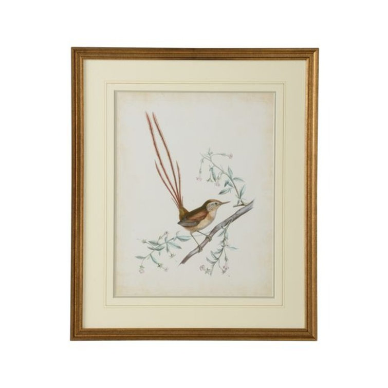 Delicate Birds I Gold Framed Art Print with Double Mat