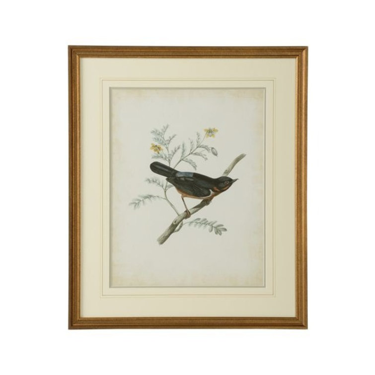Delicate Birds III Gold Framed Giclee Print Artwork