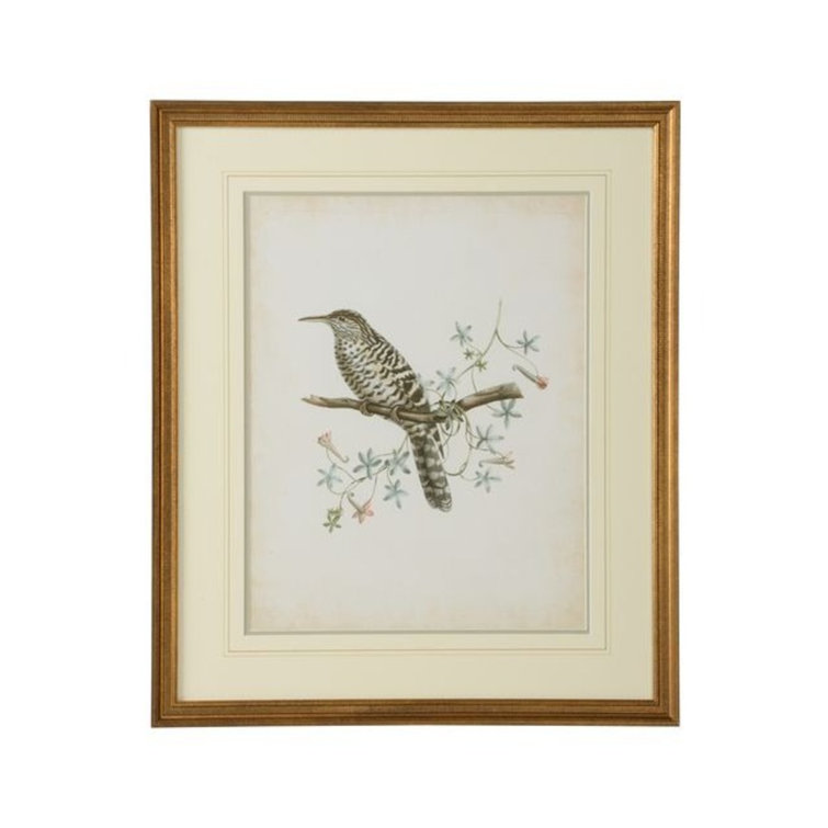 Gold Framed Delicate Birds Graphic Art Print