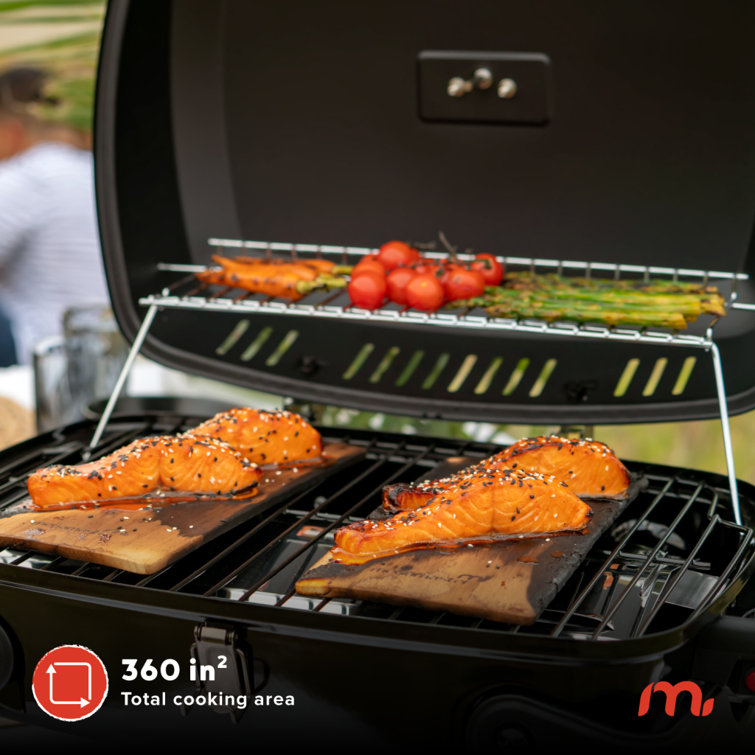 Megamaster Portable Black and Red Propane Gas Grill