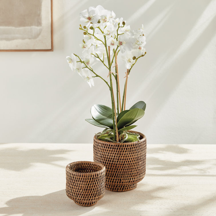 Small Brown Rattan Cachepots Set of 2