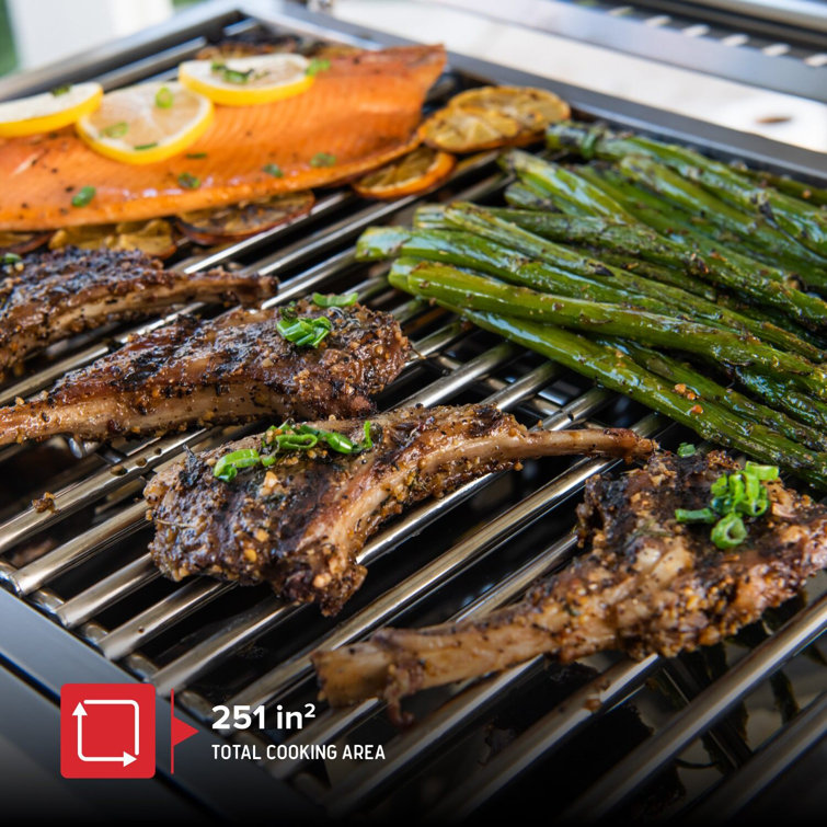 Compact Stainless Steel 2-Burner Portable Propane Gas Grill