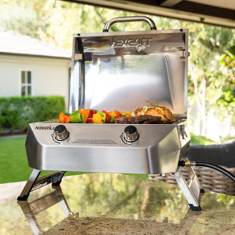 Compact Stainless Steel 2-Burner Portable Propane Gas Grill