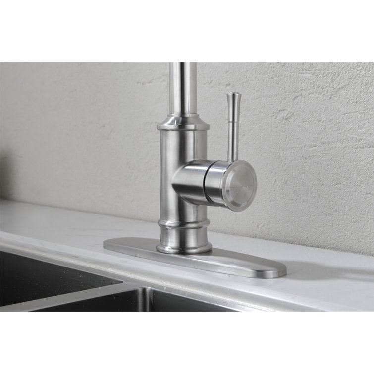 Brushed Nickel Pull-Out Spray Kitchen Faucet with Single Handle
