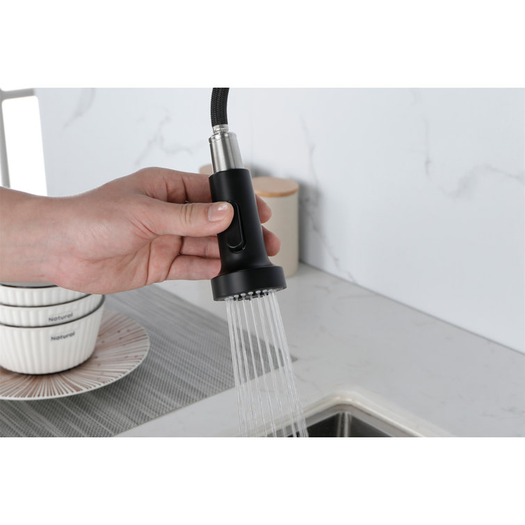 Matte Black Commercial Spring Kitchen Faucet with Pull-Out Sprayer