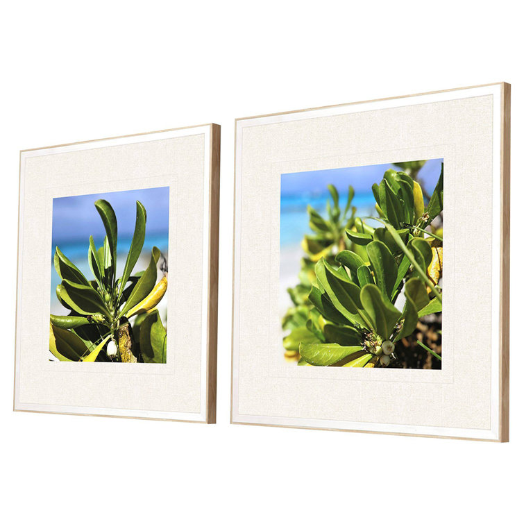 Sea and Sand Coastal Botanical Framed Wall Art Set
